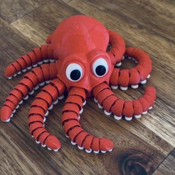 Giant Octopus
