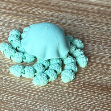 Jellyfish