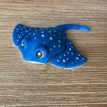 Manta Ray